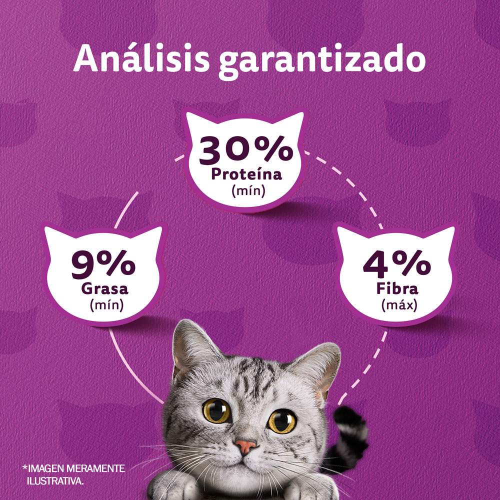Whiskas® Alimento Seco para Gatos Carne La Receta Original - 6